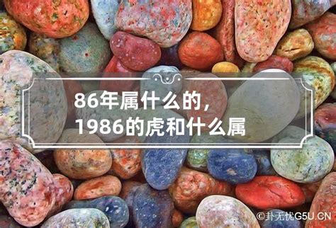 86年属相|1986年属什么生肖